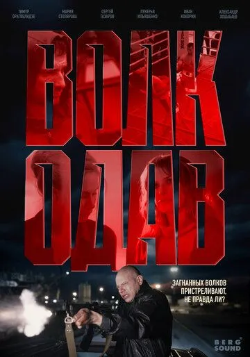 Волкодав 1 сезон